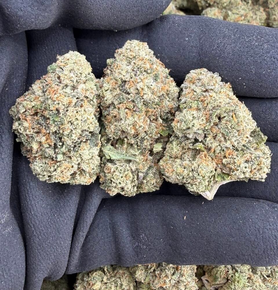 Shop Primary Image Shop Primary Image