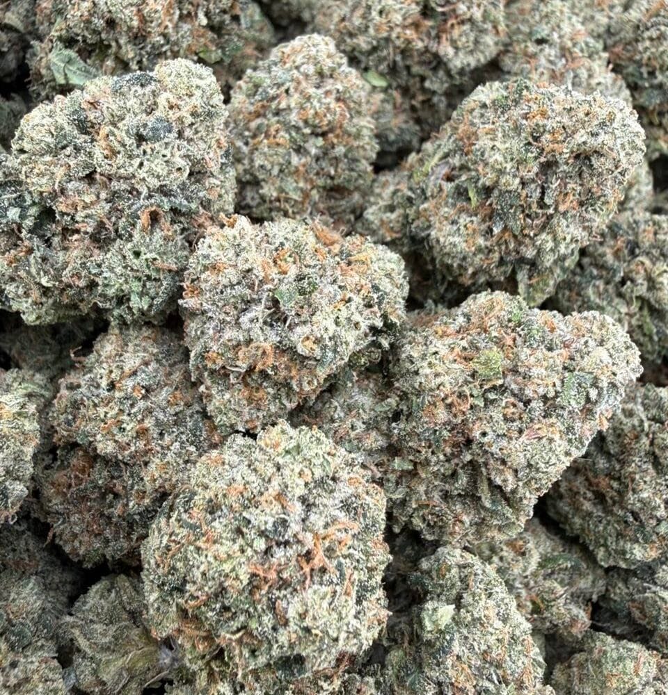 Shop Secondary Image Shop Secondary Image