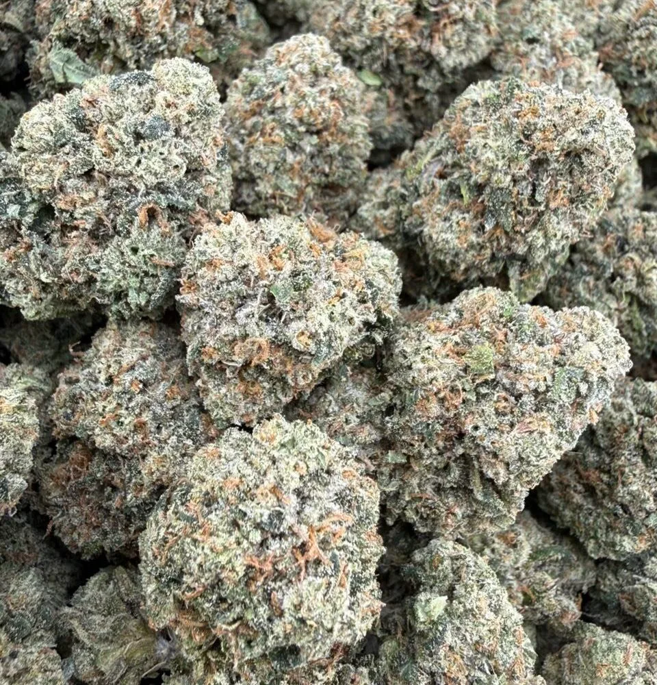 Shop Secondary Image