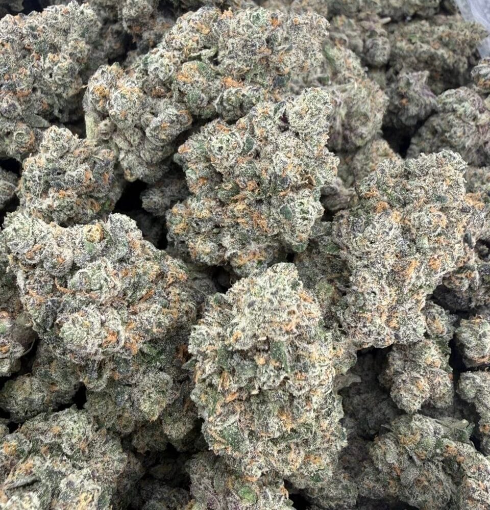 Shop Secondary Image Shop Secondary Image