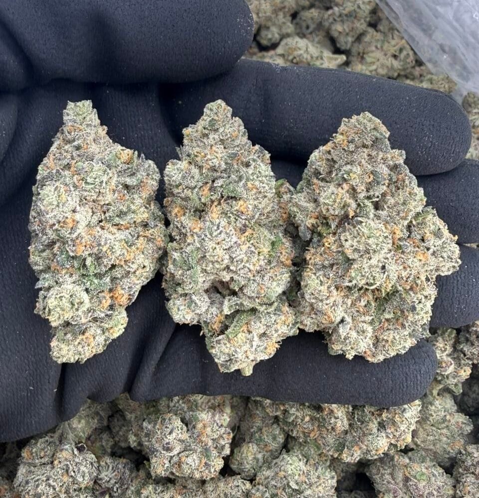 Shop Primary Image Shop Primary Image