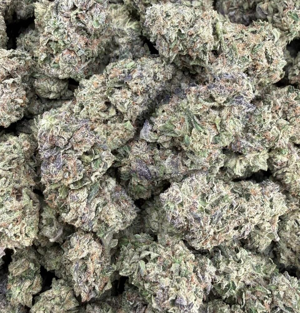 Shop Secondary Image Shop Secondary Image