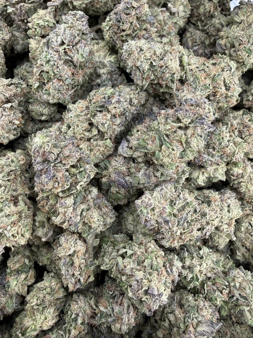 Jealousy Mintz Premium Indoor Flower – Exotic Minty Candy Strain | CannalDripsLeaf - Image 2