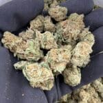 Blue Limo Premium Indoor Flower – Exotic Sweet Gas Strain | CannalDripsLeaf