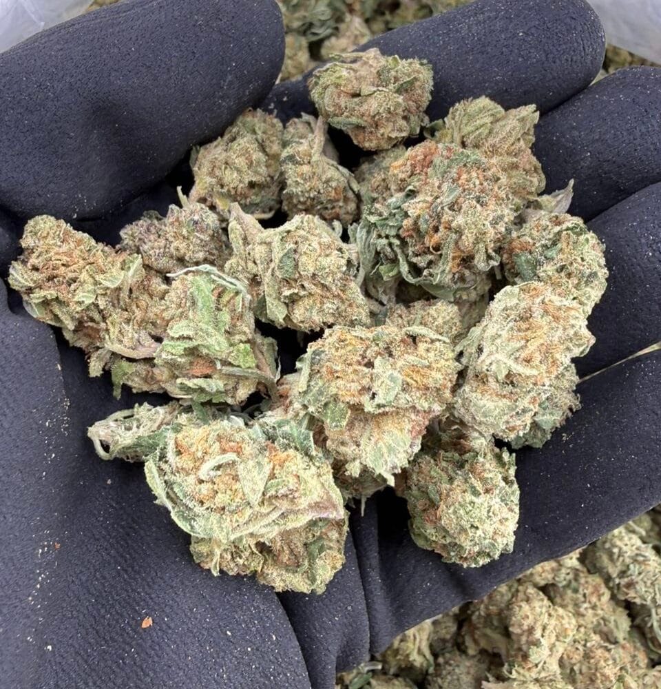 Shop Primary Image Shop Primary Image