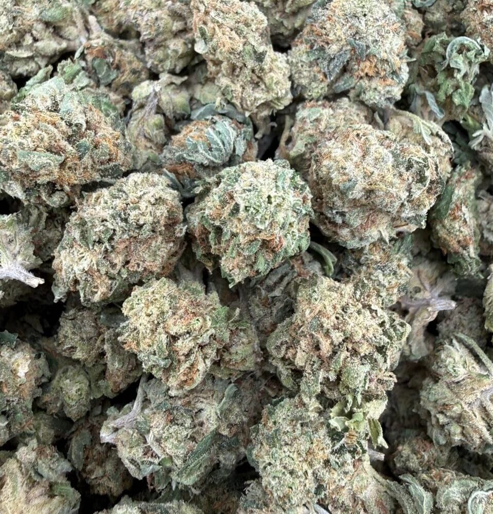 Shop Secondary Image Shop Secondary Image