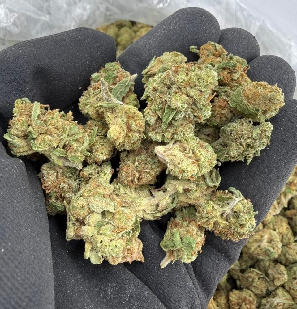 Shop Primary Image Shop Primary Image