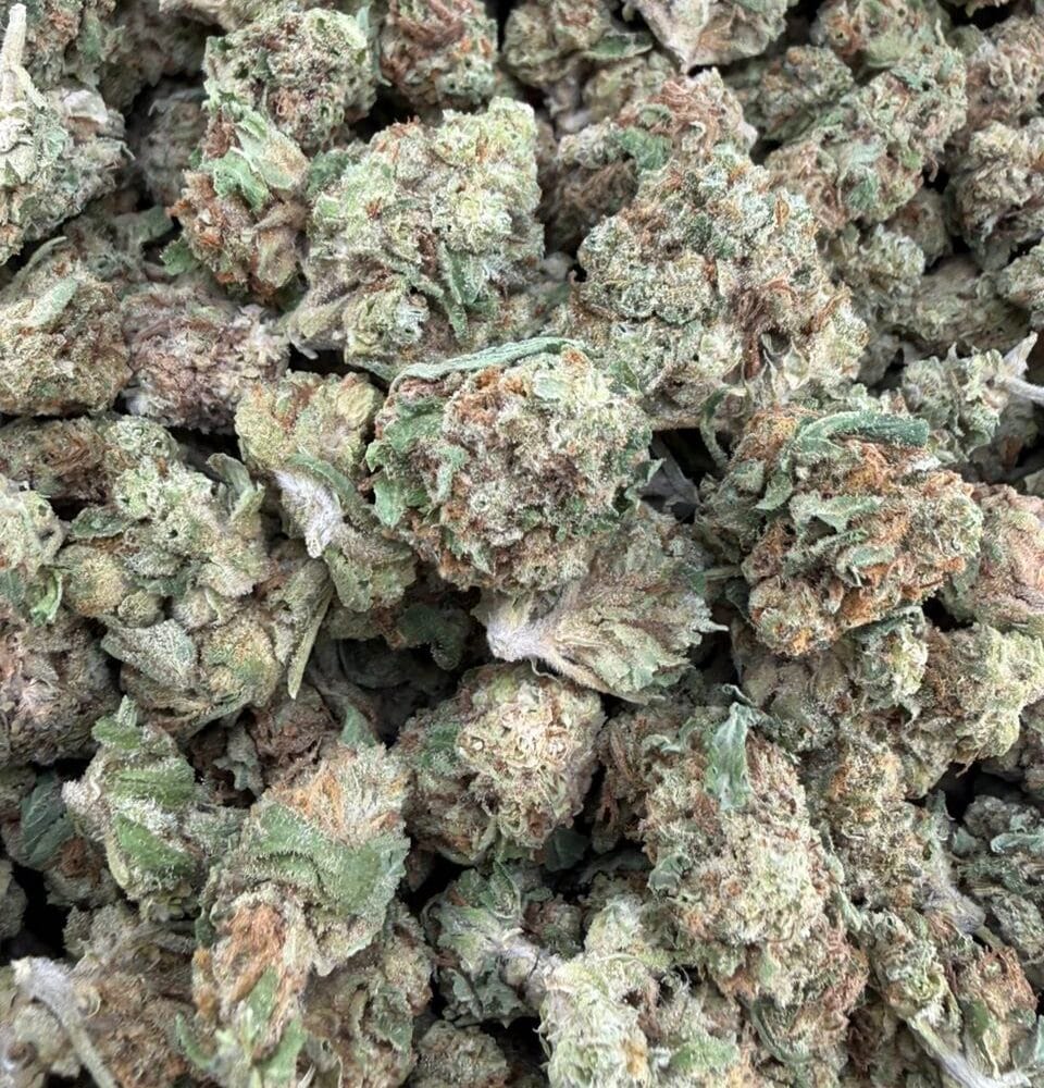 Shop Secondary Image Shop Secondary Image