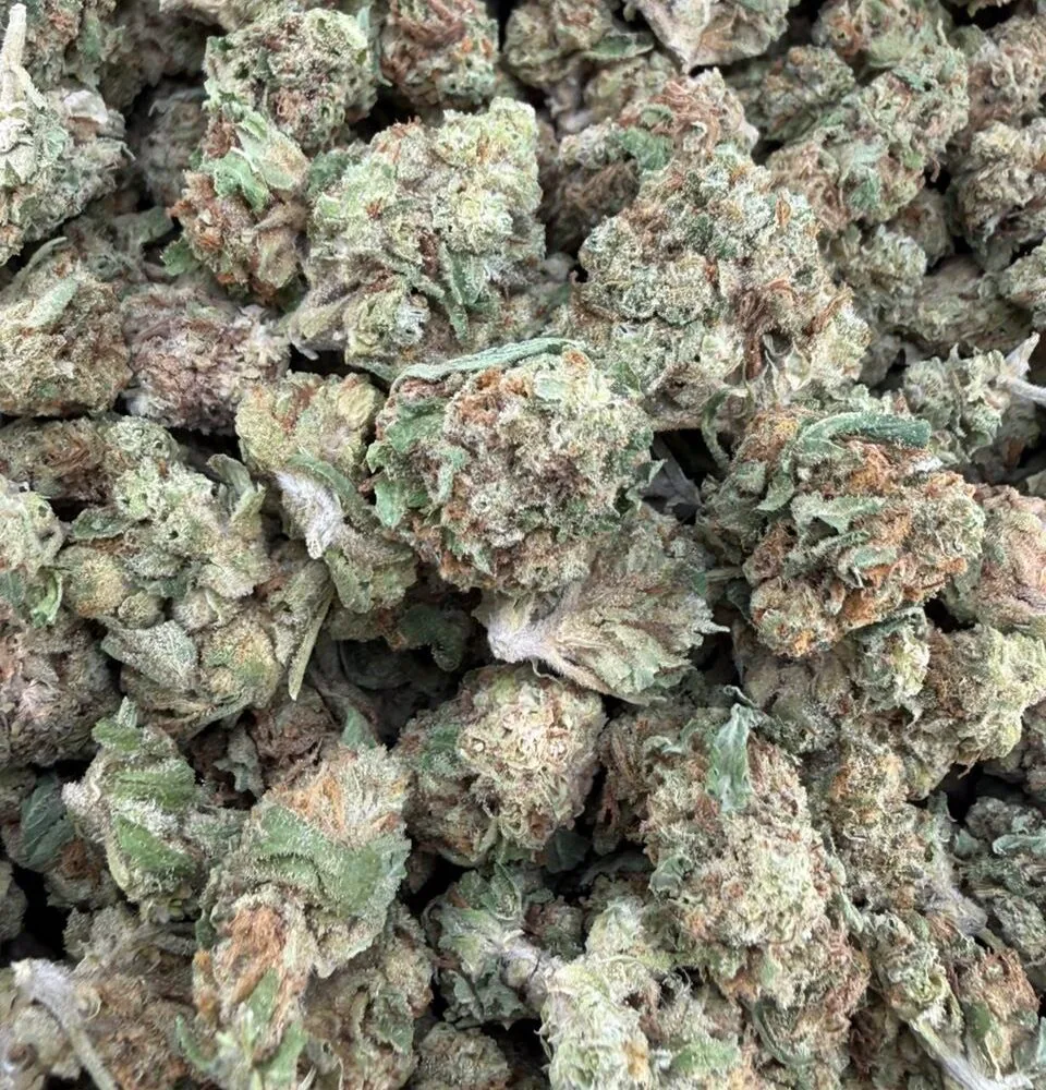 Shop Secondary Image