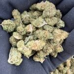 Rainbow Beltz Premium Indoor Flower – Exotic Candy Gas Strain | CannalDripsLeaf