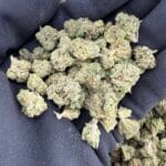 Holy Grail OG Premium Indoor Flower – Legendary Heavy Kush Strain | CannalDripsLeaf