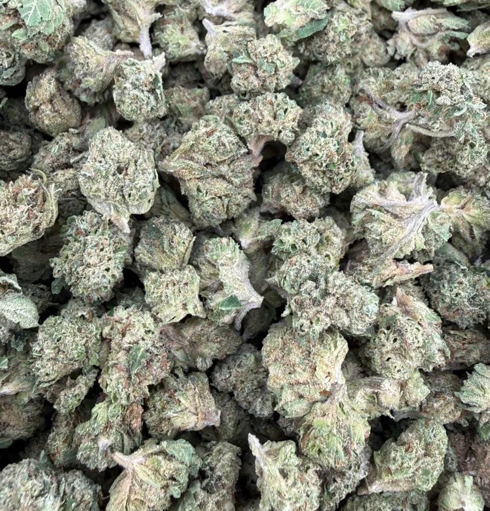 Shop Secondary Image Shop Secondary Image