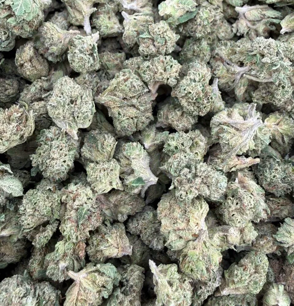 Shop Secondary Image