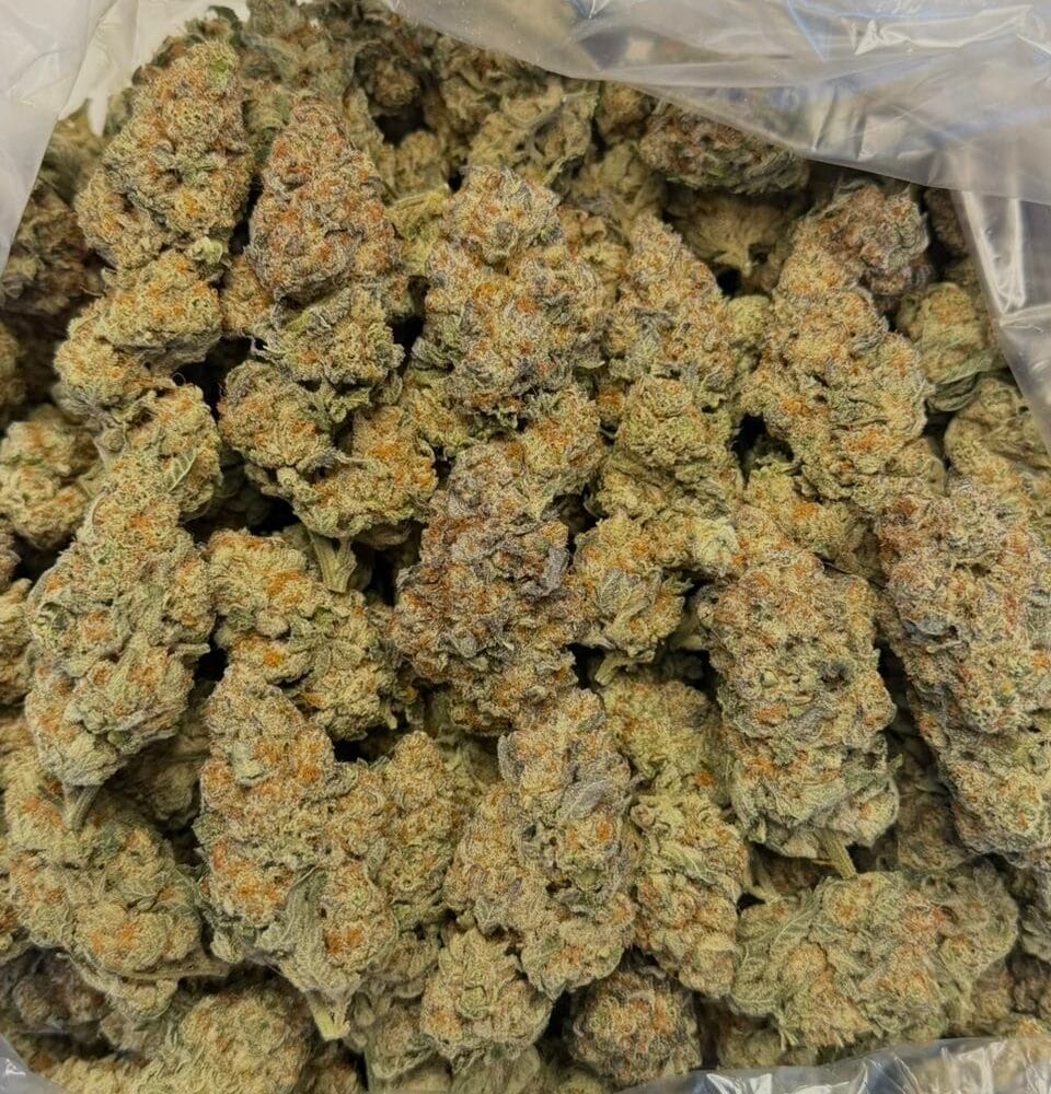 Shop Secondary Image Shop Secondary Image