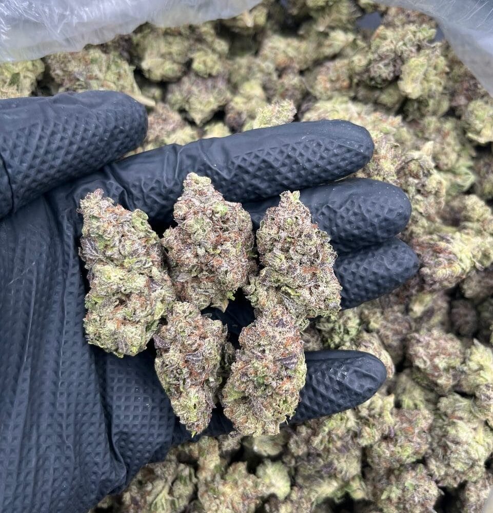 Shop Primary Image Shop Primary Image