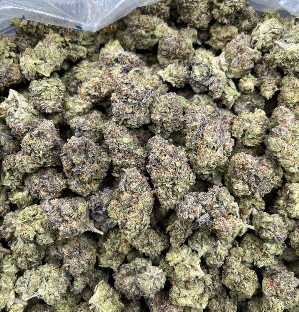 Shop Secondary Image Shop Secondary Image