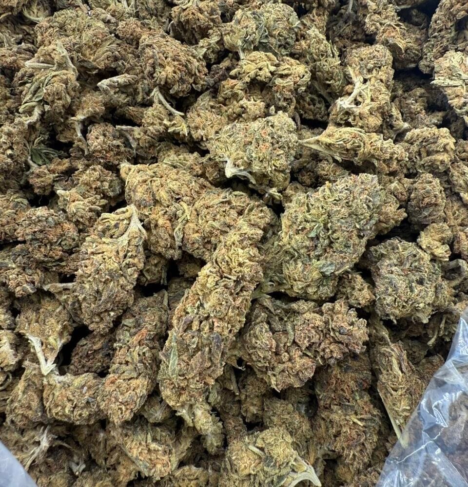 Shop Secondary Image Shop Secondary Image