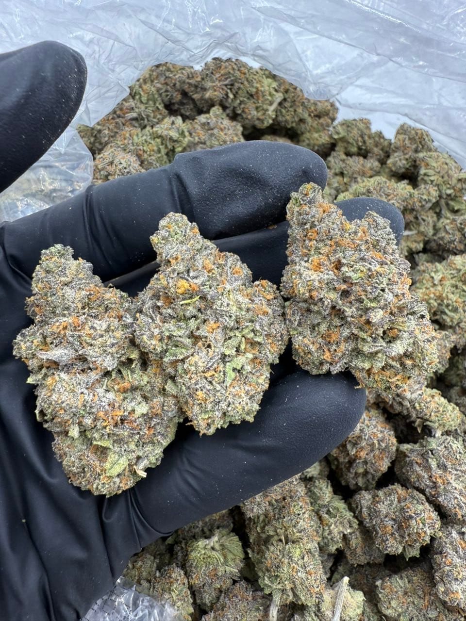 Lemon Cherry Runtz Indoor Flower – Exotic Candy Strain | CannalDripsLeaf - Image 2