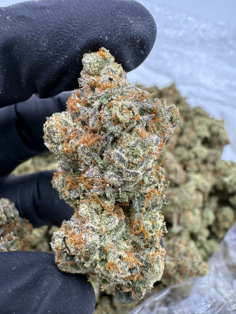 Major Payne Indoor Flower – Premium Exotic Cannabis | CannalDripsLeaf