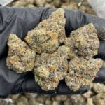 Rainbow Jokers Indoor Flower – Purple Exotic Bud (Rainbow Belts x Jokers) | Cannaldripsleaf
