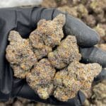 Strawberry Runtz Indoor Flower – Purple Exotic Bud (Strawberry Shortcake x Runtz) | Cannaldripsleaf
