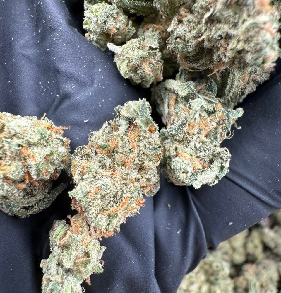 Shop Secondary Image