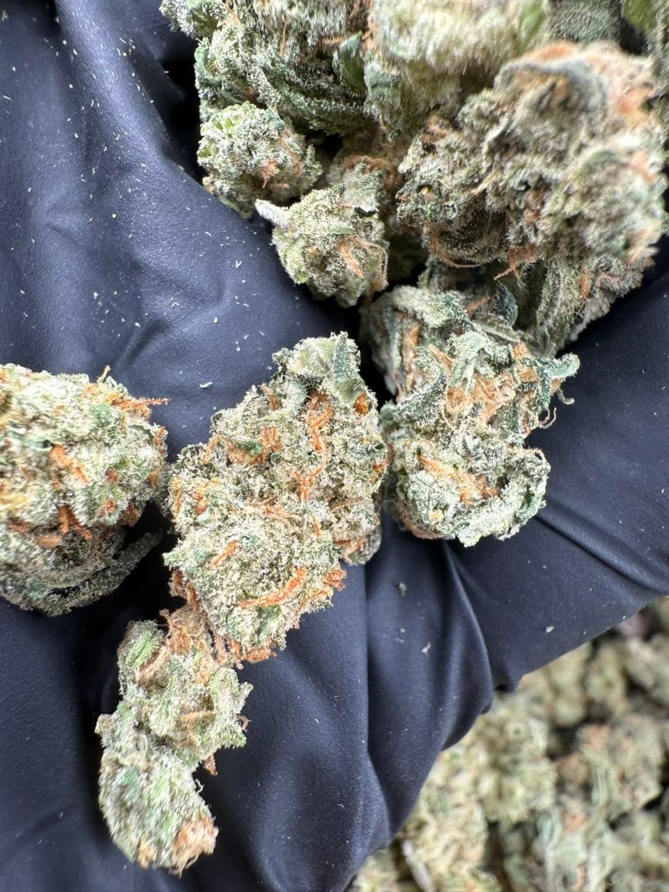 Blue Dream Mediums – Classic Indoor Flower (Budget-Friendly Everyday Smoke) | Cannaldripsleaf - Image 2